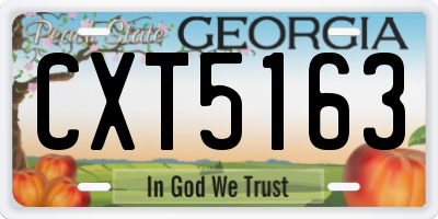 GA license plate CXT5163