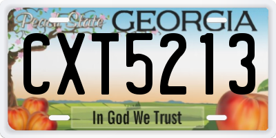 GA license plate CXT5213