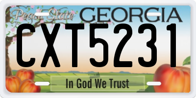 GA license plate CXT5231
