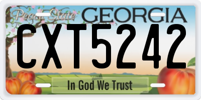 GA license plate CXT5242