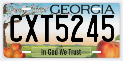 GA license plate CXT5245