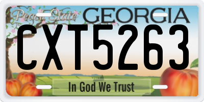 GA license plate CXT5263