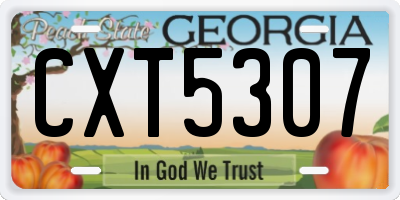 GA license plate CXT5307