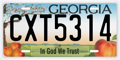 GA license plate CXT5314