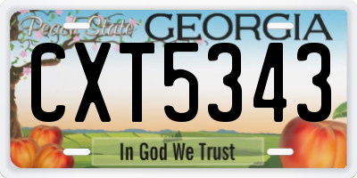 GA license plate CXT5343