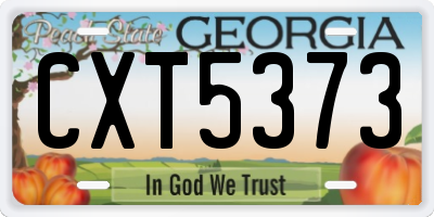 GA license plate CXT5373