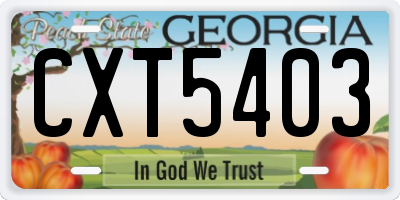 GA license plate CXT5403