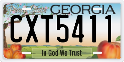 GA license plate CXT5411