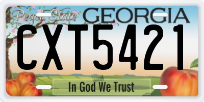 GA license plate CXT5421