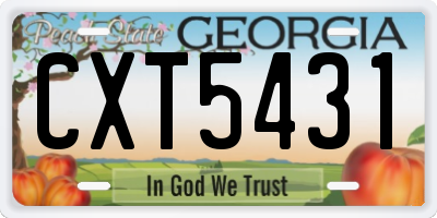 GA license plate CXT5431