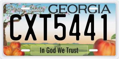 GA license plate CXT5441