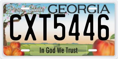 GA license plate CXT5446