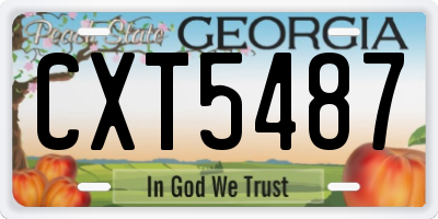 GA license plate CXT5487