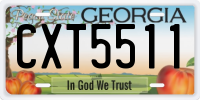GA license plate CXT5511