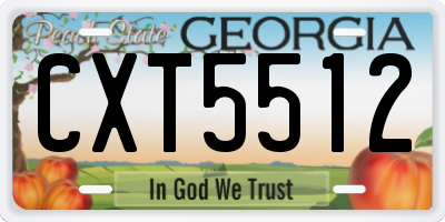 GA license plate CXT5512