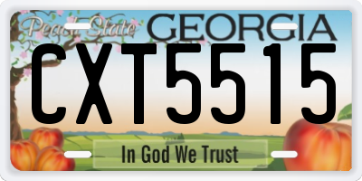 GA license plate CXT5515