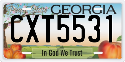 GA license plate CXT5531