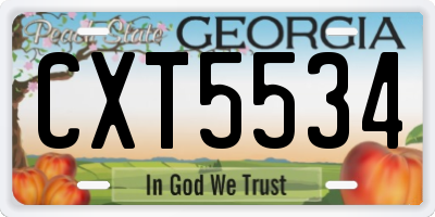 GA license plate CXT5534