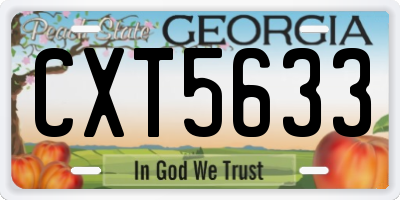 GA license plate CXT5633
