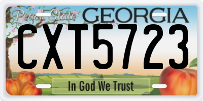 GA license plate CXT5723