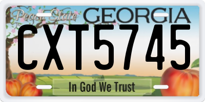 GA license plate CXT5745
