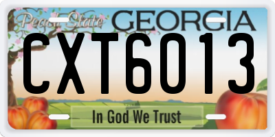 GA license plate CXT6013