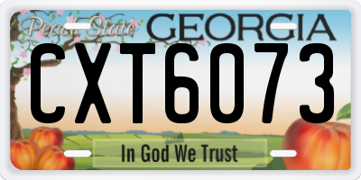 GA license plate CXT6073