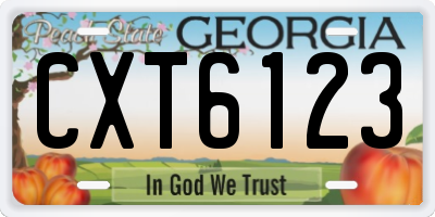 GA license plate CXT6123