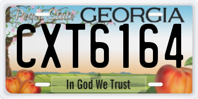 GA license plate CXT6164