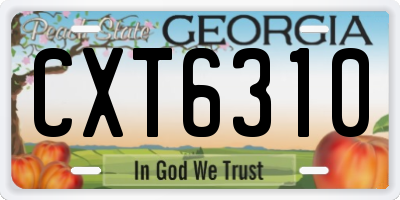 GA license plate CXT6310