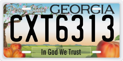 GA license plate CXT6313