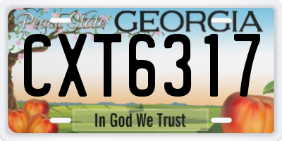 GA license plate CXT6317
