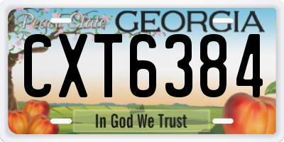 GA license plate CXT6384