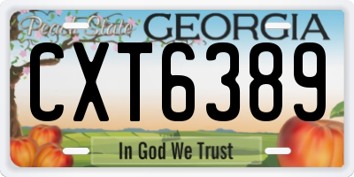 GA license plate CXT6389