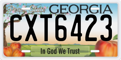 GA license plate CXT6423