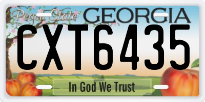 GA license plate CXT6435