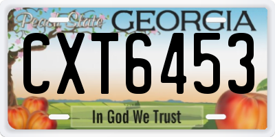 GA license plate CXT6453