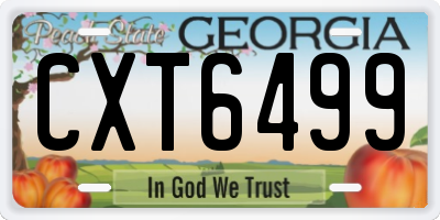 GA license plate CXT6499