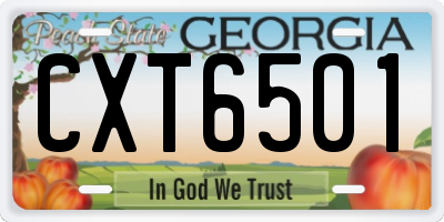 GA license plate CXT6501