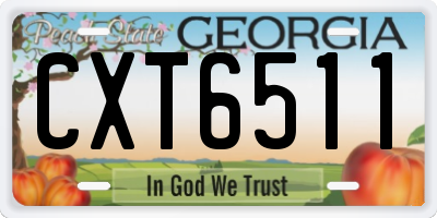 GA license plate CXT6511