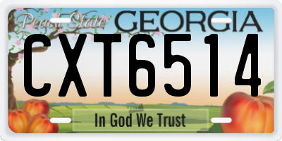 GA license plate CXT6514