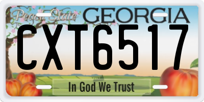 GA license plate CXT6517
