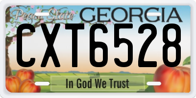 GA license plate CXT6528