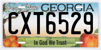 GA license plate CXT6529