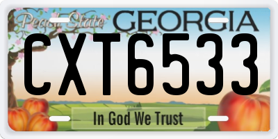 GA license plate CXT6533