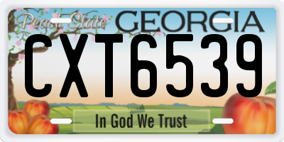GA license plate CXT6539