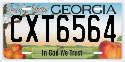 GA license plate CXT6564