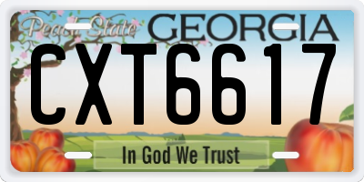GA license plate CXT6617