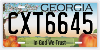 GA license plate CXT6645