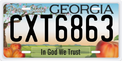 GA license plate CXT6863